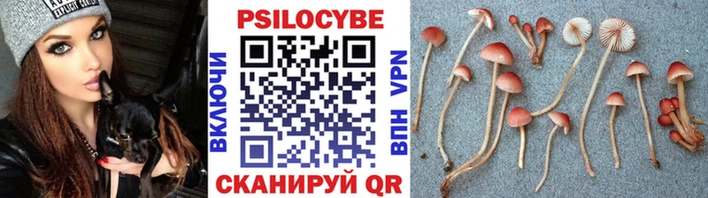Купить  Темников  Галлюциногенные грибы мицелий 