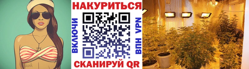 Шишки марихуана индика  Купить закладки  Темников 